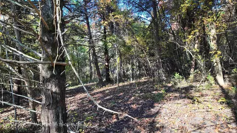 000 Range St, Marshall, AR 72650 photo 29
