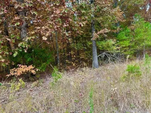 0 Sawmill Rd, Mountain View, AR 72560 photo 3