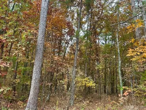 0 Sawmill Rd, Mountain View, AR 72560 photo 2