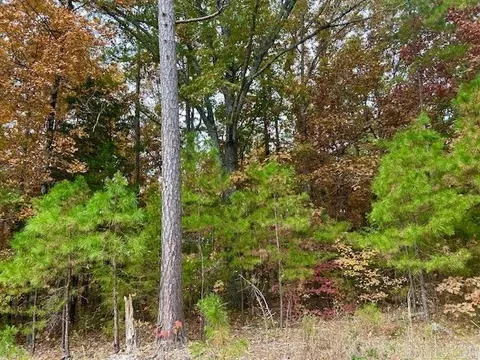 0 Sawmill Rd, Mountain View, AR 72560 photo 4