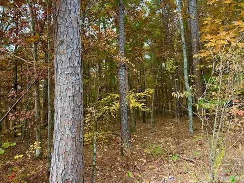0 Sawmill Rd, Mountain View, AR 72560 photo 5