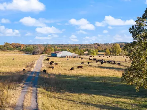 172 Blackfork Rd, Greenbrier, AR 72058 photo 3