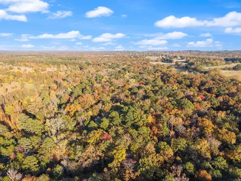 172 Blackfork Rd, Greenbrier, AR 72058 photo 13