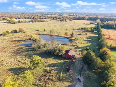 172 Blackfork Rd, Greenbrier, AR 72058 photo 21