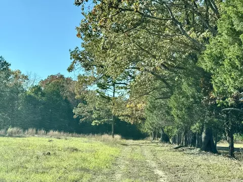 150 Holloway Ln, Greenbrier, AR 72058