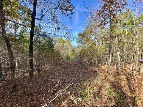 10 Eagle Ridge Dr, Greers Ferry, AR 72067 photo 18
