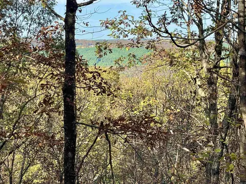 10 Eagle Ridge Dr, Greers Ferry, AR 72067 photo 26