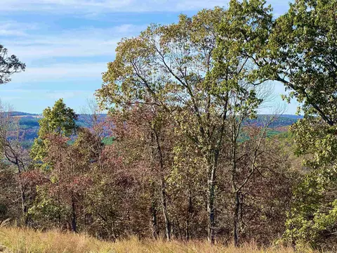 10 Eagle Ridge Dr, Greers Ferry, AR 72067 photo 8