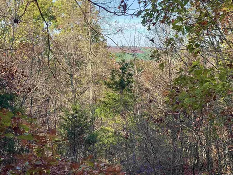 10 Eagle Ridge Dr, Greers Ferry, AR 72067 photo 12