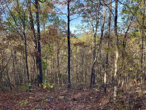 10 Eagle Ridge Dr, Greers Ferry, AR 72067 photo 42