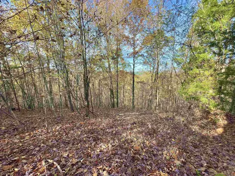 10 Eagle Ridge Dr, Greers Ferry, AR 72067 photo 28
