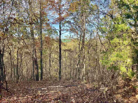 10 Eagle Ridge Dr, Greers Ferry, AR 72067 photo 13