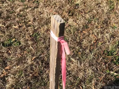 000 Skyline Dr, Searcy, AR 72143 photo 6