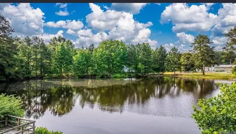 View/Area - 21 Ponds Edge Ln, Alexander, AR 72002 photo 1 of 2