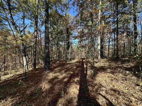 78 Fenix Dr, Hot Springs Village, AR 71909