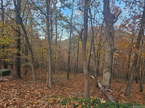 43 Binefar Way, Hot Springs Village, AR 71909