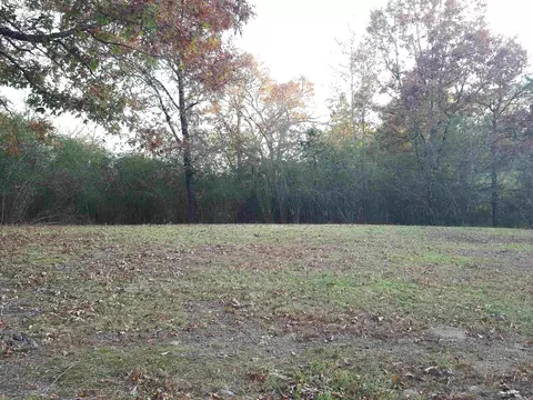 123 Moore Ln, Hatfield, AR 71945 photo 5