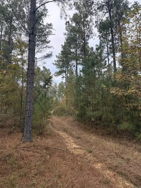 tbd Hitt Rd, Murfreesboro, AR 71958