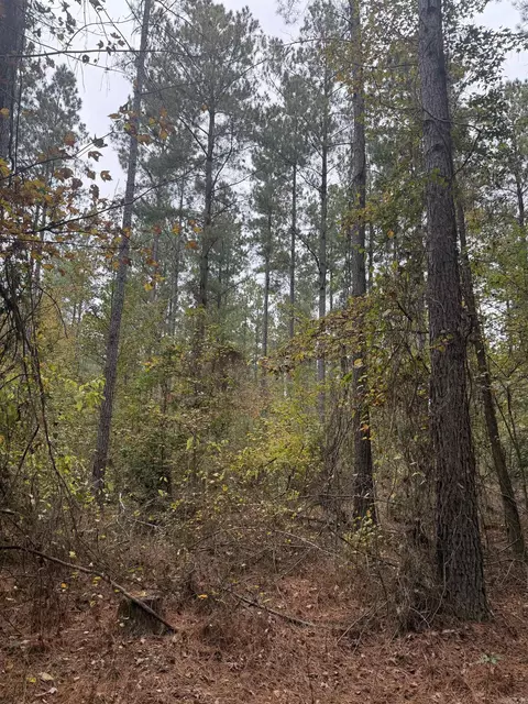 tbd Hitt Rd, Murfreesboro, AR 71958 photo 5