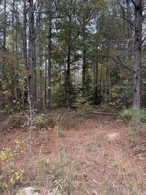 tbd Hitt Rd, Murfreesboro, AR 71958 photo 2