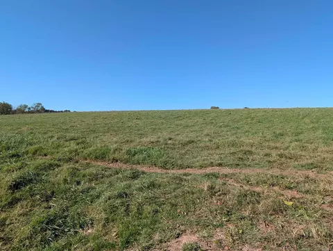 397 Highway, Harrison, AR 72601 photo 3