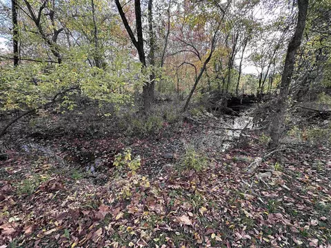 900 Toad Pole Ln, Sidney, AR 72577 photo 5