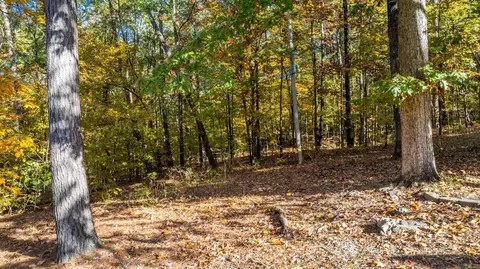 2000 Cherry Xing, Benton, AR 72015 photo 40