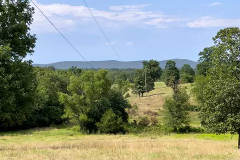 tbd Byrd Vaught, Mena, AR 71953 photo 16