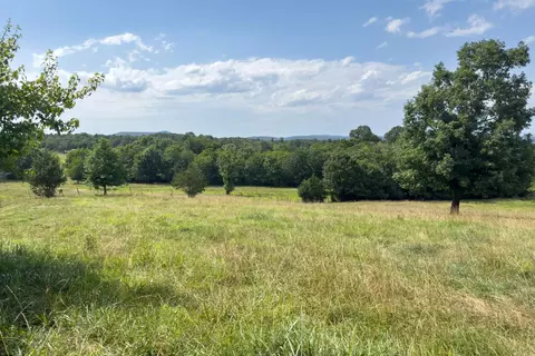 tbd Byrd Vaught, Mena, AR 71953 photo 12
