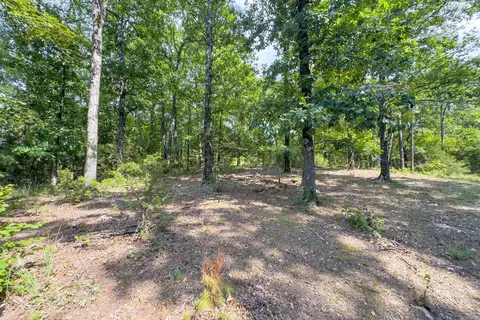 tbd Byrd Vaught, Mena, AR 71953 photo 18