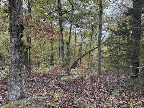 tbd Russell Rd, Hardy, AR 72542