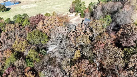 View/Area - 183 Polk Road 68, Mena, AR 71953 photo 2 of 2