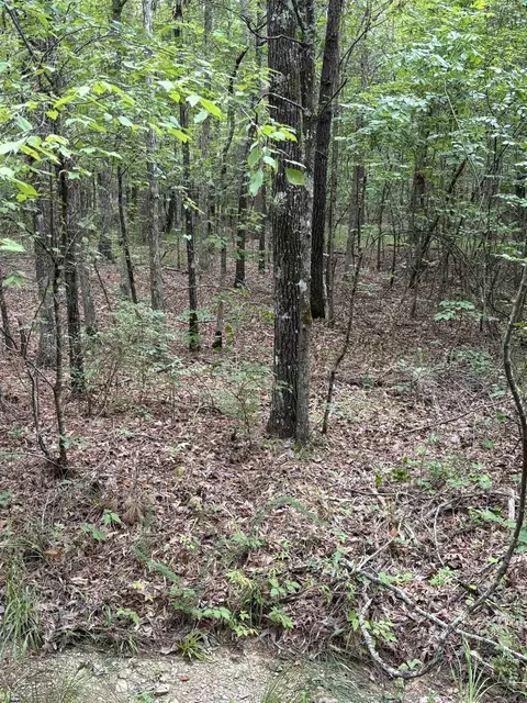 00 Venado Way, Hot Springs Village, AR 71909