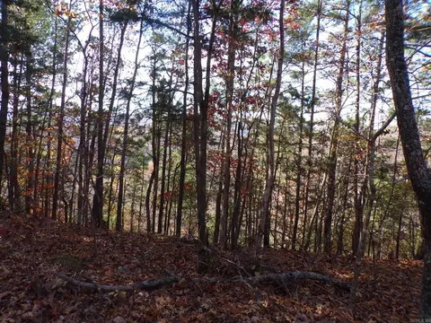 Heritage Oaks, Mountain View, AR 72560 photo 5