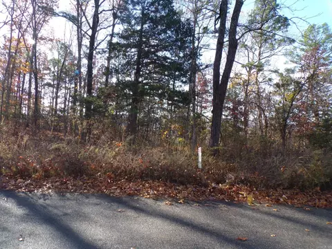 Heritage Oaks, Mountain View, AR 72560 photo 7