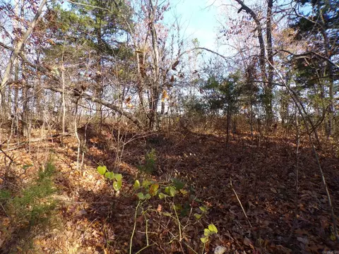 Heritage Oaks, Mountain View, AR 72560 photo 3