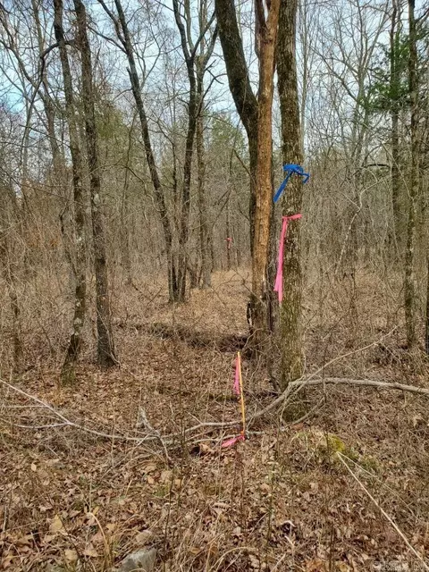 tbd Polk Road 197, Mena, AR 71953