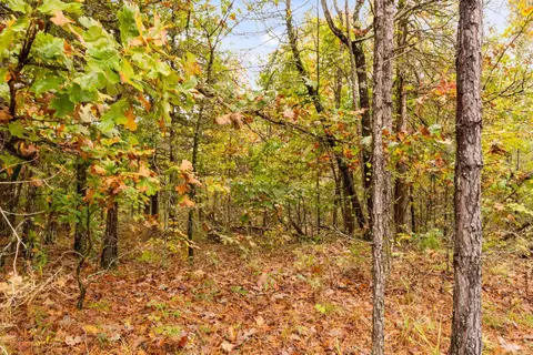 001-01814 000 Cr 68, Norfork, AR 72658 photo 15
