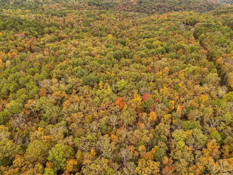 001-01814 000 Cr 68, Norfork, AR 72658 photo 9