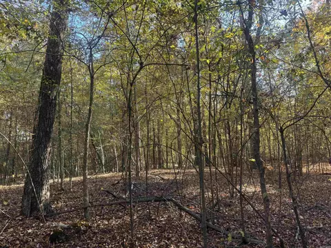 000 Sulpher Springs Rd, Pine Bluff, AR 71603 photo 17