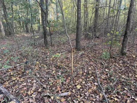 000 Sulpher Springs Rd, Pine Bluff, AR 71603 photo 37