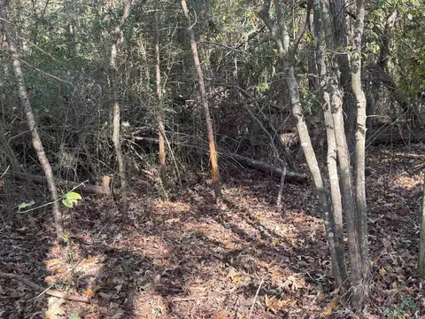 000 Sulpher Springs Rd, Pine Bluff, AR 71603 photo 5