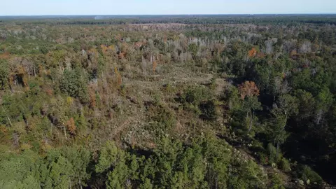 000 Sulpher Springs Rd, Pine Bluff, AR 71603 photo 43