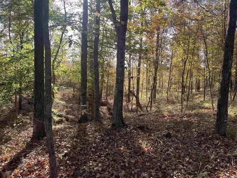 000 Sulpher Springs Rd, Pine Bluff, AR 71603 photo 46