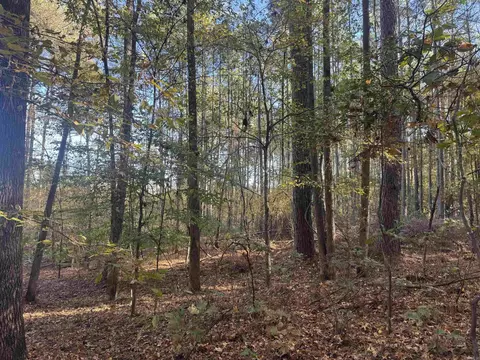 000 Sulpher Springs Rd, Pine Bluff, AR 71603 photo 10