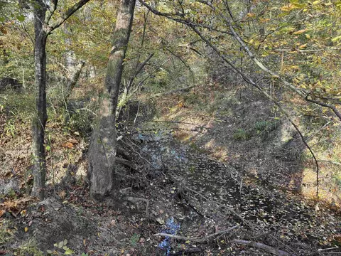 000 Sulpher Springs Rd, Pine Bluff, AR 71603 photo 28