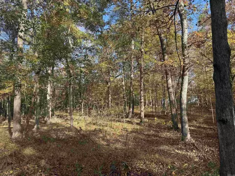 000 Sulpher Springs Rd, Pine Bluff, AR 71603 photo 24