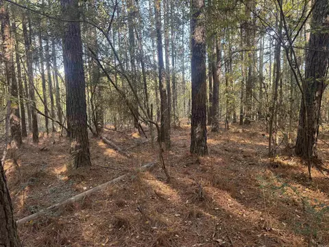 000 Sulpher Springs Rd, Pine Bluff, AR 71603 photo 8