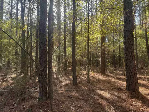 000 Sulpher Springs Rd, Pine Bluff, AR 71603 photo 9