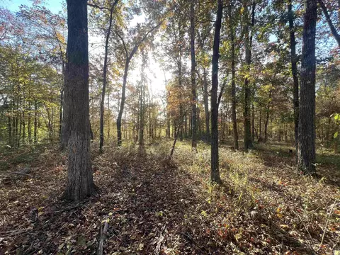 000 Sulpher Springs Rd, Pine Bluff, AR 71603 photo 3